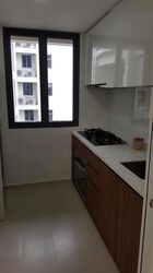 Palm Isles (D17), Condominium #481821421